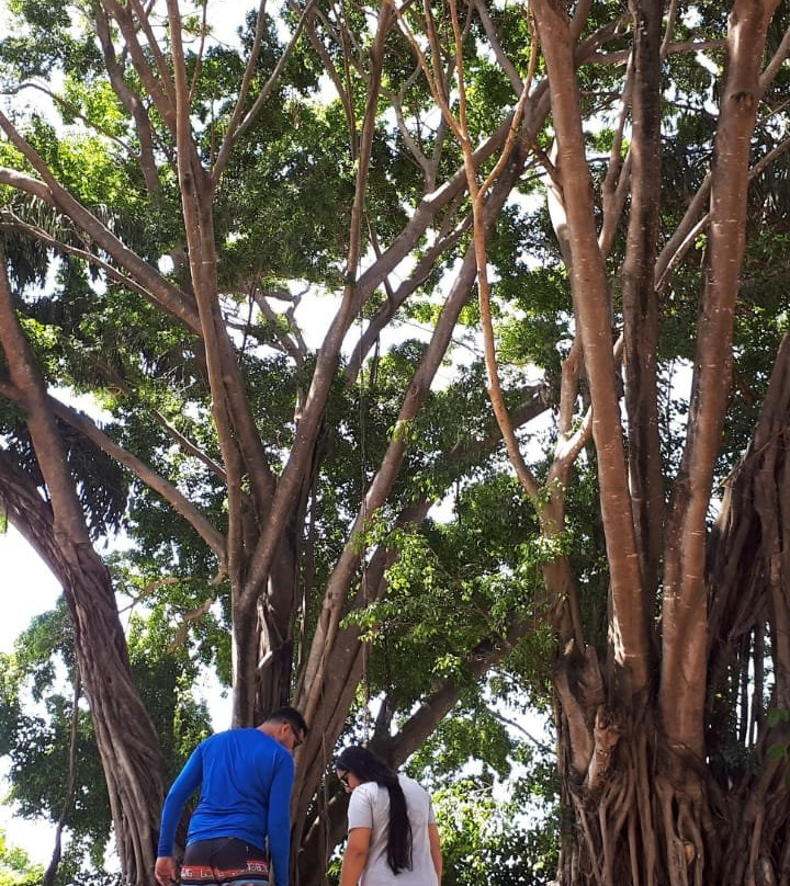 Angá Beach Hotel主图