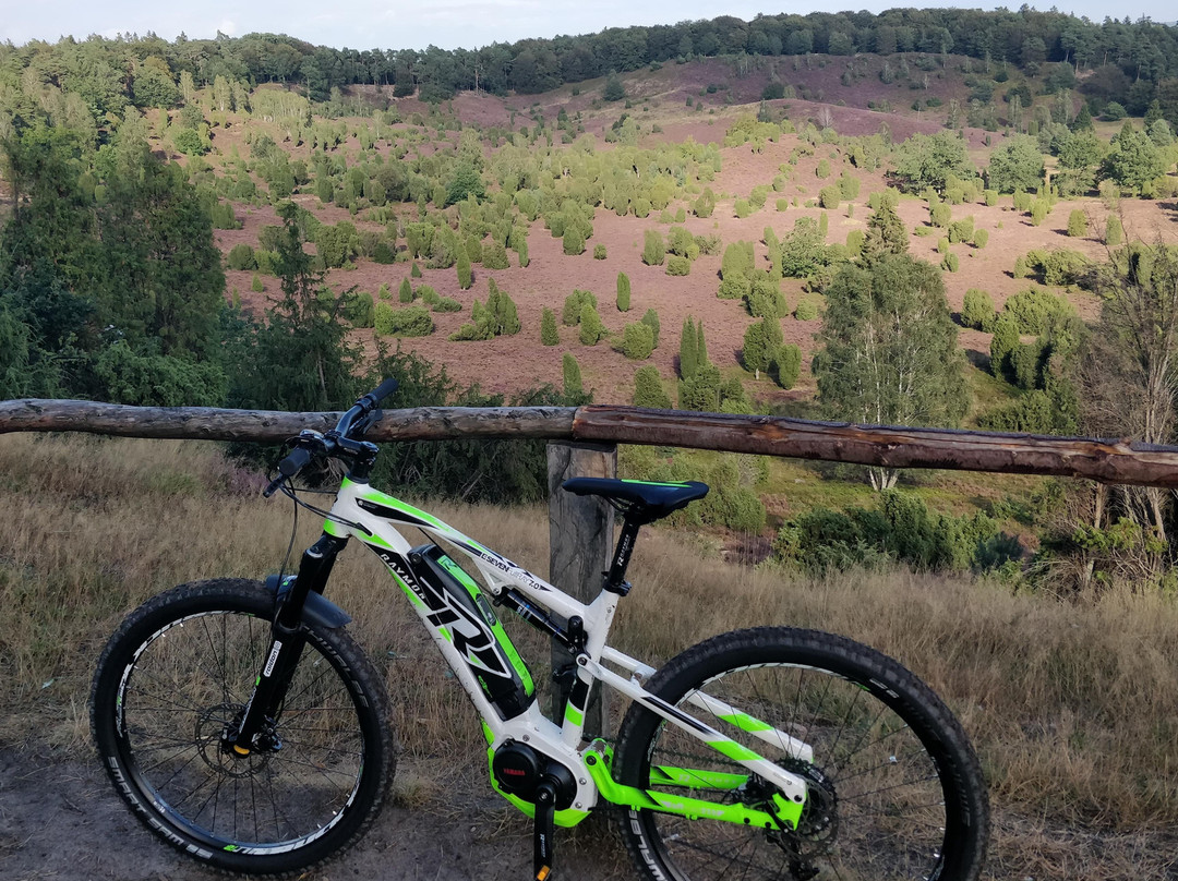 Evelos E-Mountainbikes Lüneburger Heide