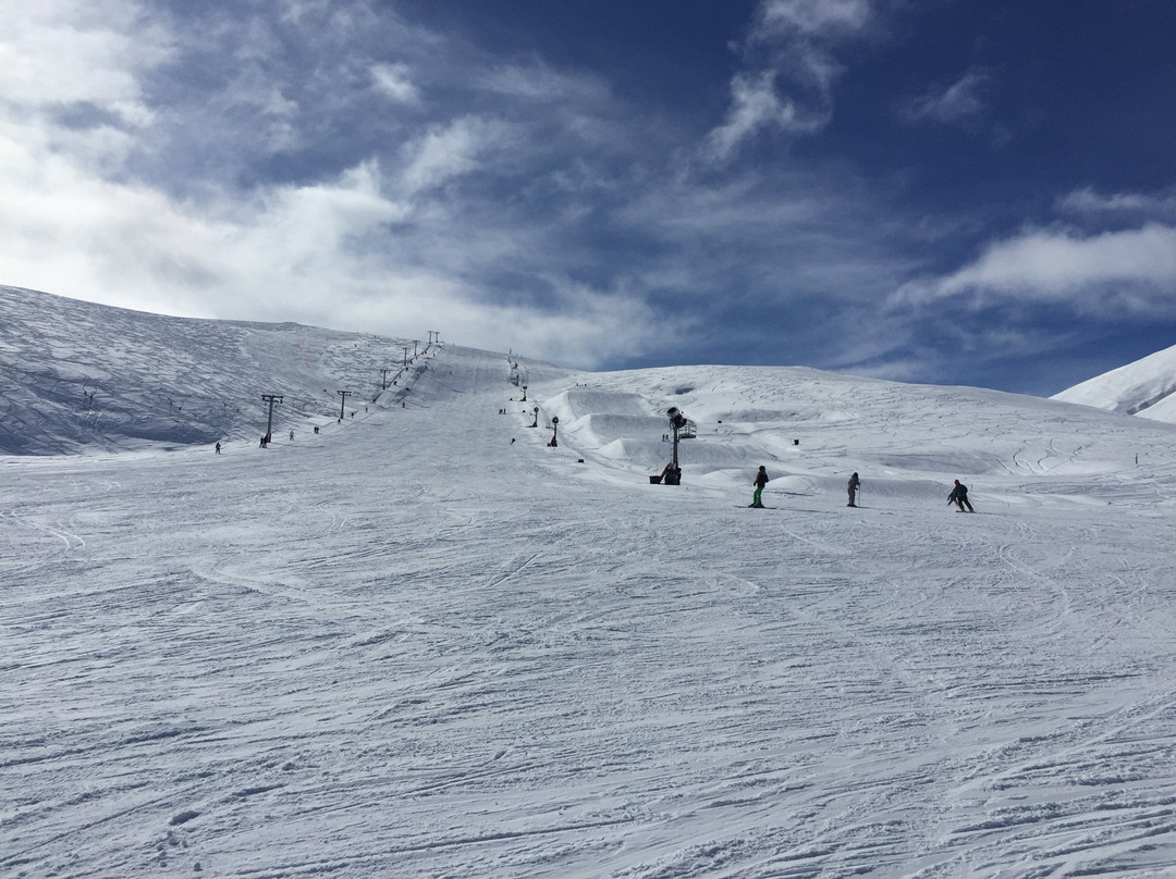 Roundhill Ski Area-特卡波湖必去景点