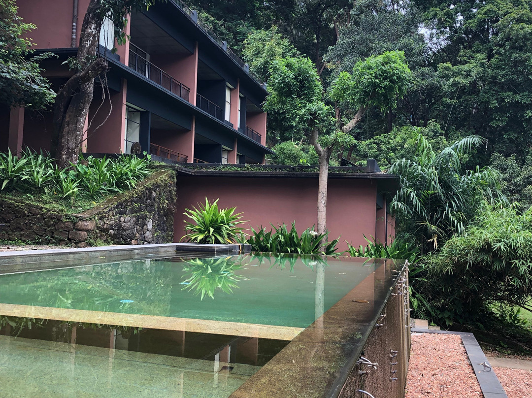 Rainforest Resort主图