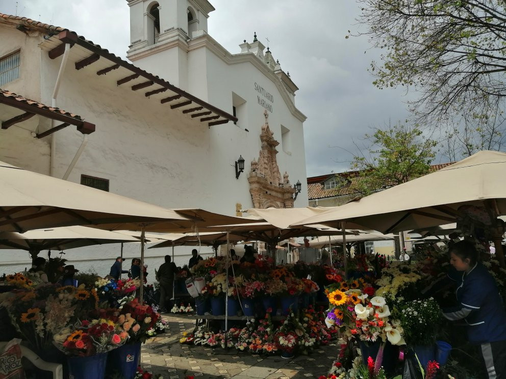 Plaza de las flores景点图片