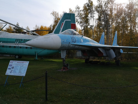 Angel Taxi - Day Tour-莫斯科必去景点