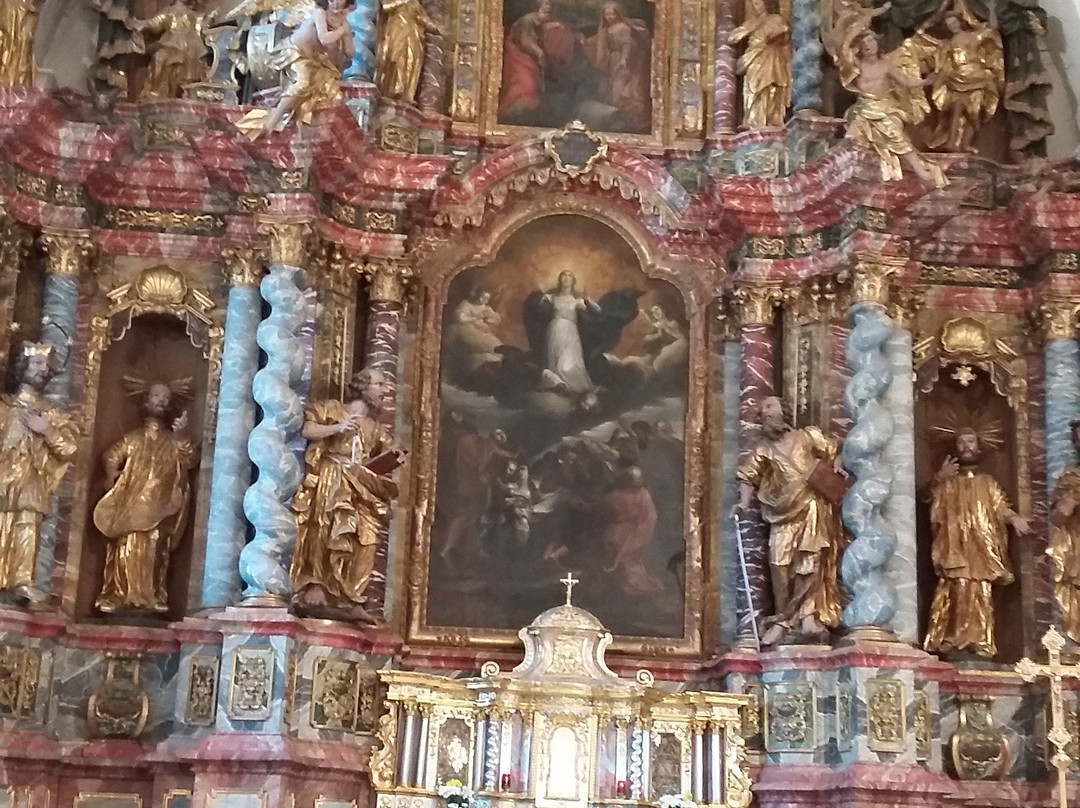 Varazdinska Katedrala Uznesenja Blazene Djevice Marije Na Nebo-Varazdin必去景点