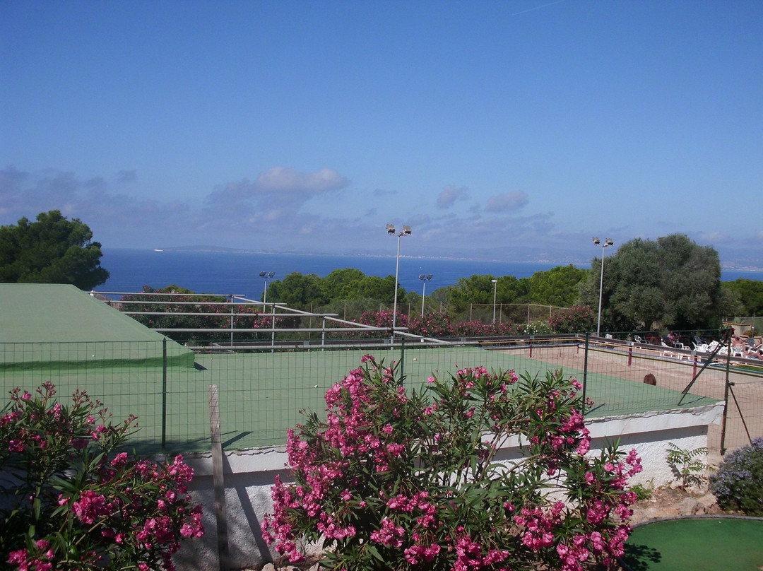 Sun Club El Dorado主图