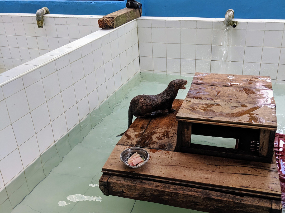 Amazon Rescue Center景点图片