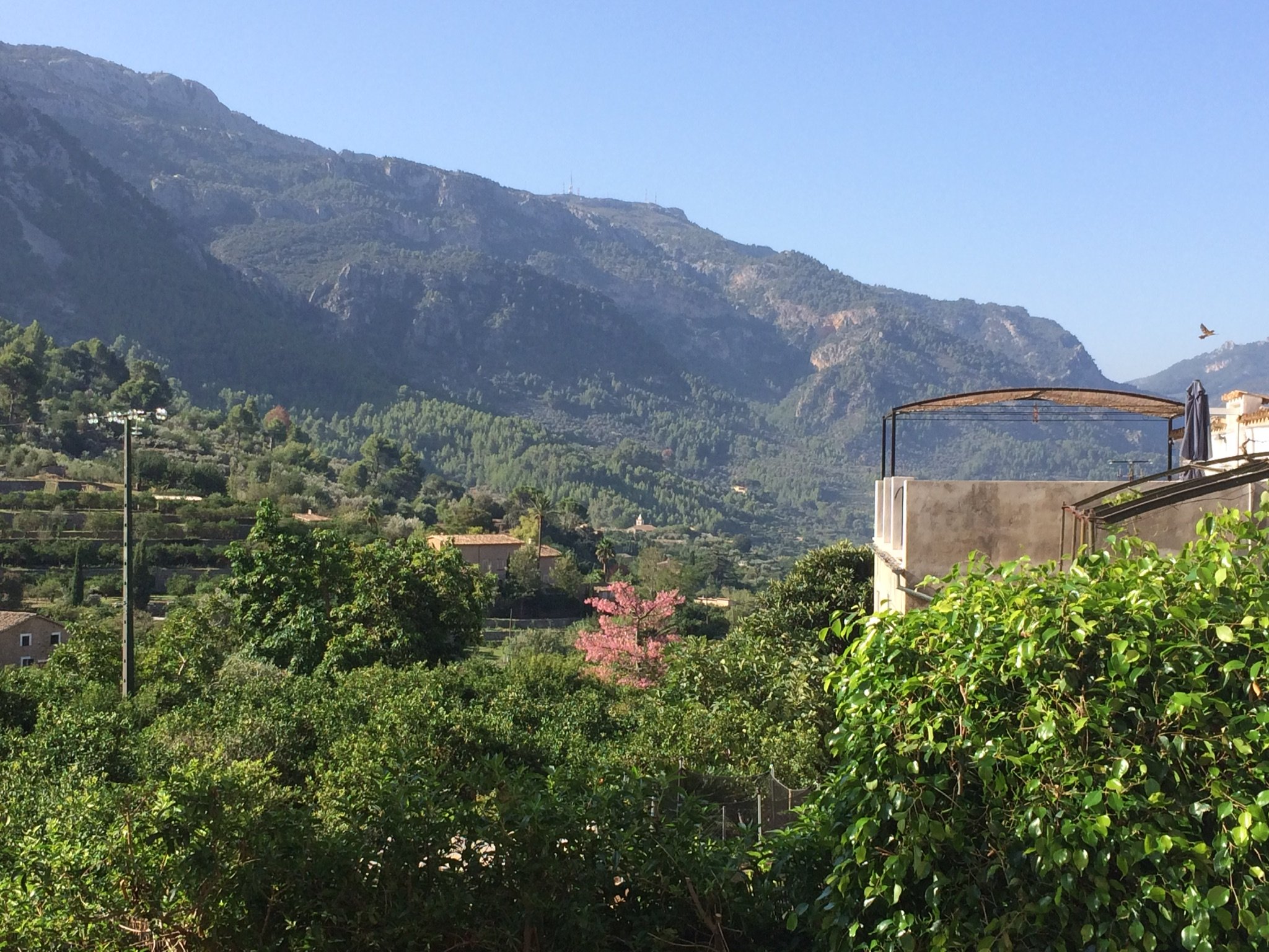 弗纳鲁特斯佩蒂特酒店-酒店景观