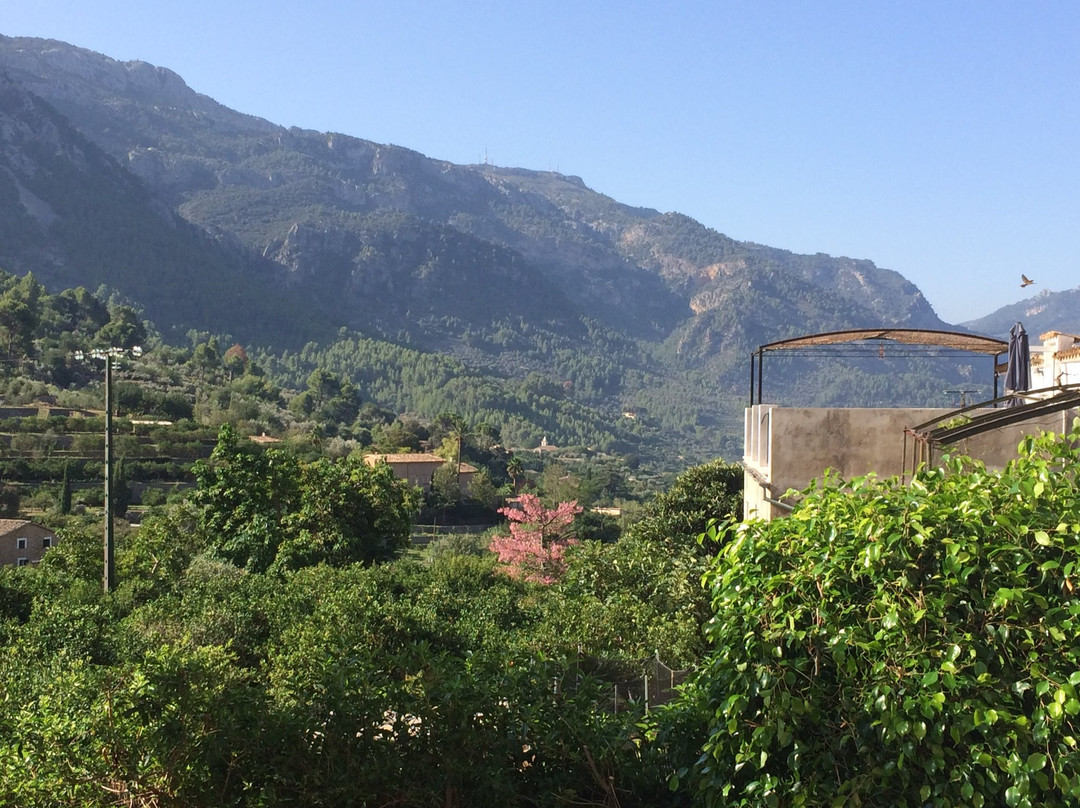 弗纳鲁特斯佩蒂特酒店主图