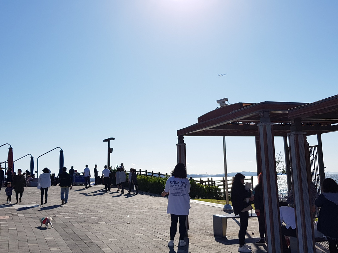 Sihwanarae Rest Area Moon Observatory