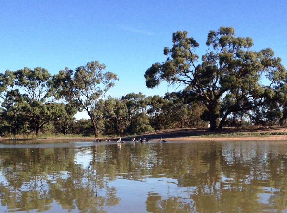 Weir Pool景点图片