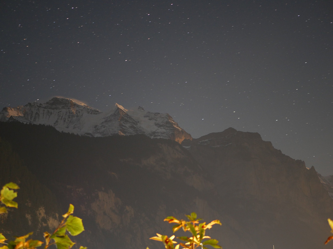 Hotel Steinbock主图