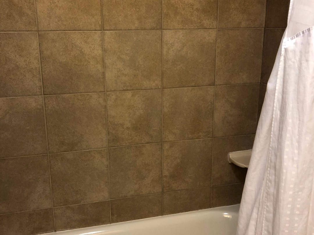 德威特快捷假日&套房酒店（锡拉丘兹）主图