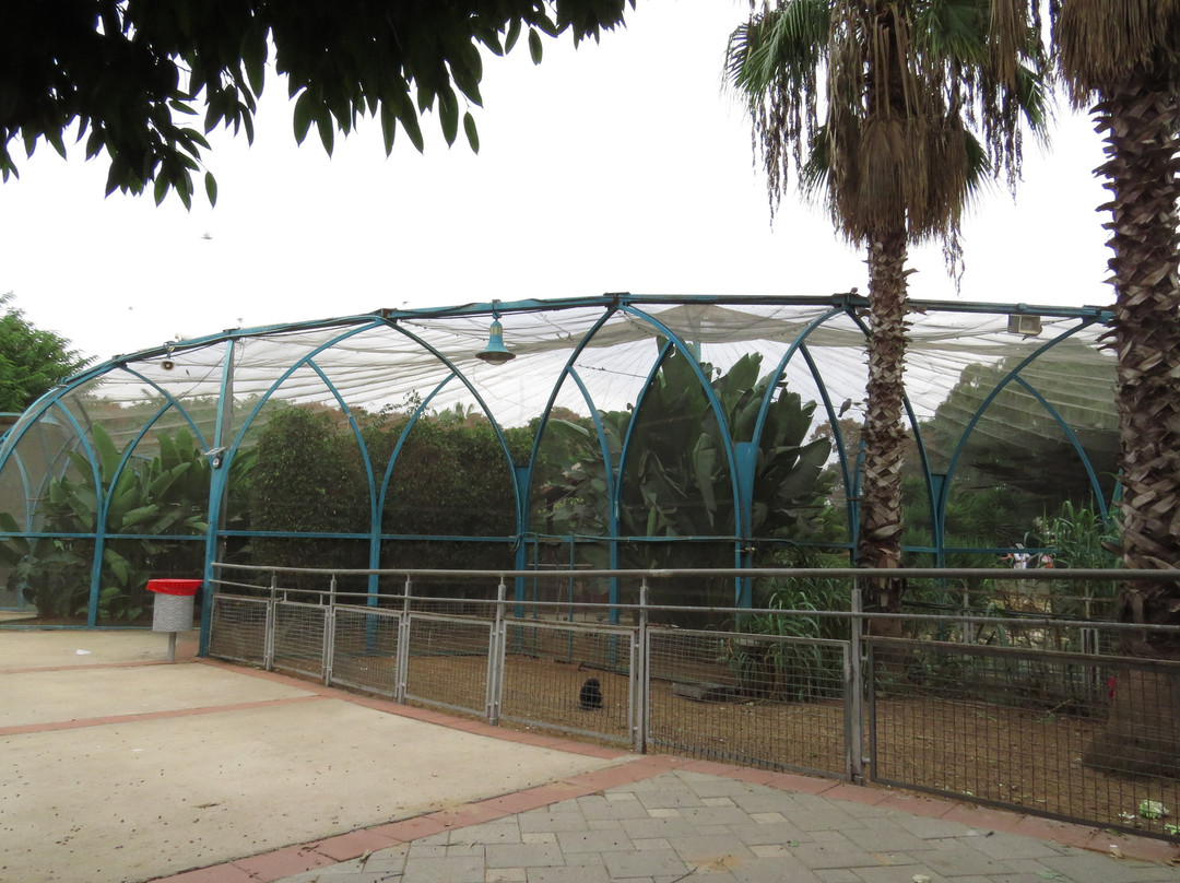 Petah Tikva Zoo-Petah Tiqwa必去景点