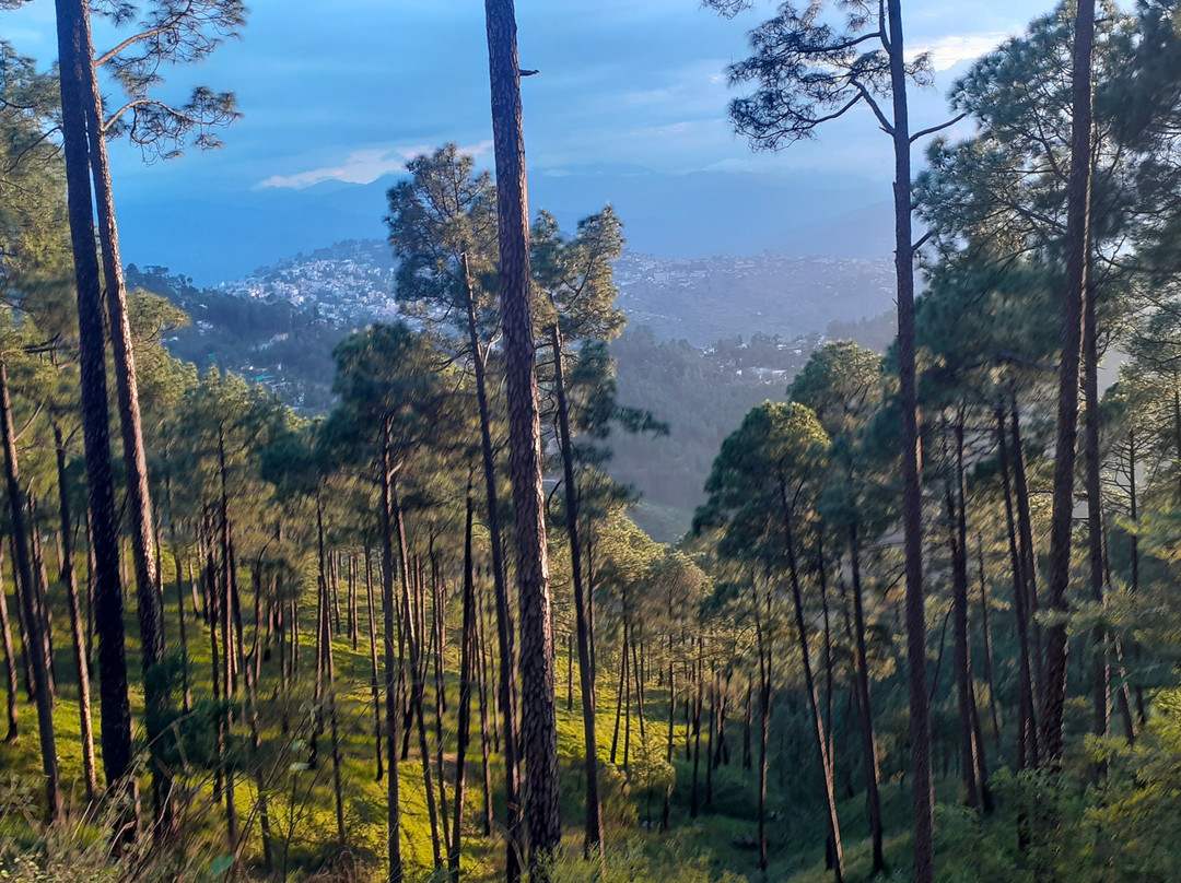 Deodar Homestay主图