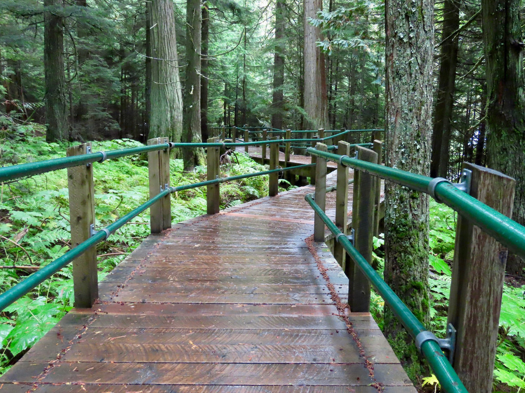 Hemlock Grove Boardwalk Trail景点图片