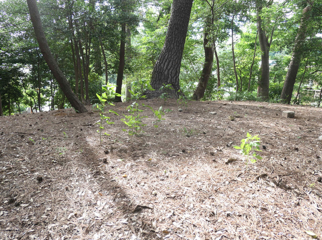 Kabutozuka Tomb-狛江市必去景点