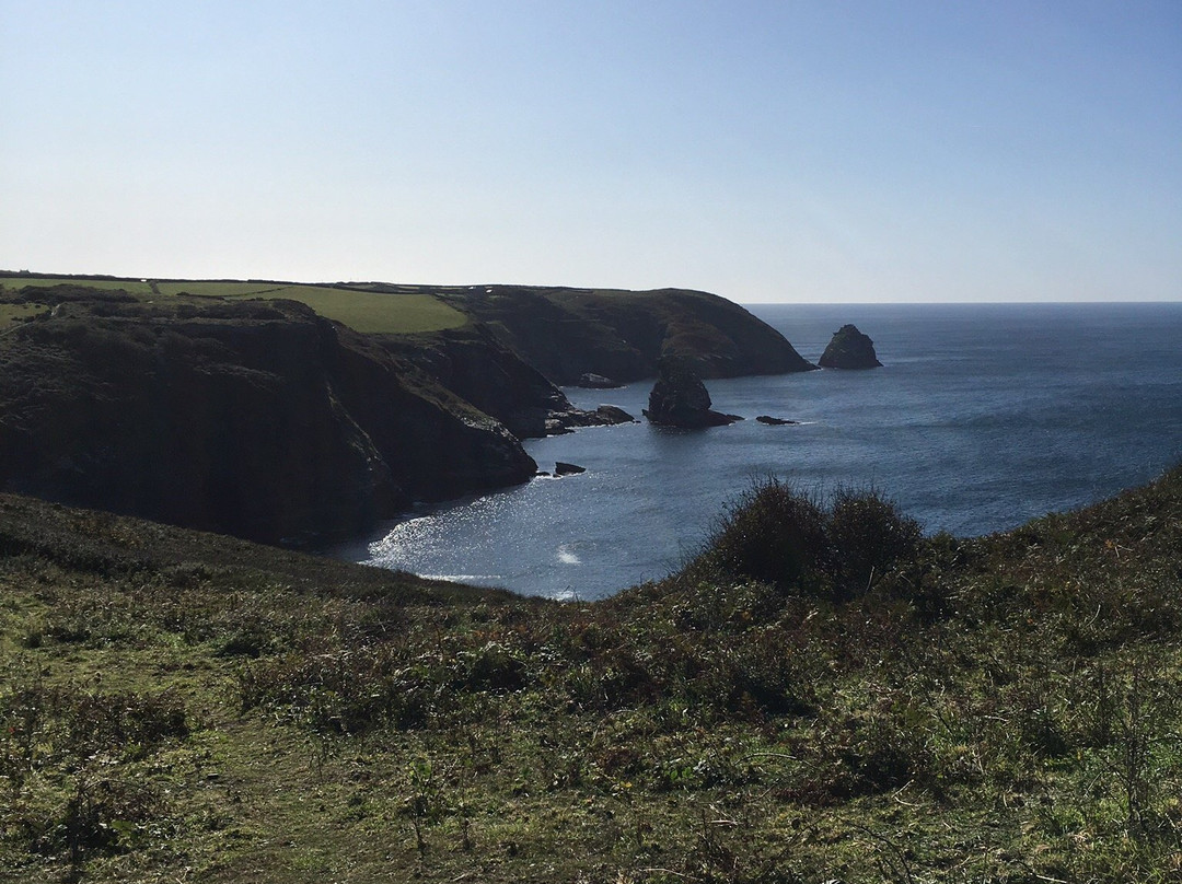 The Old Coach House主图