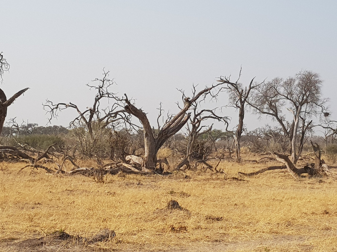 Saguni Safari Lodge主图