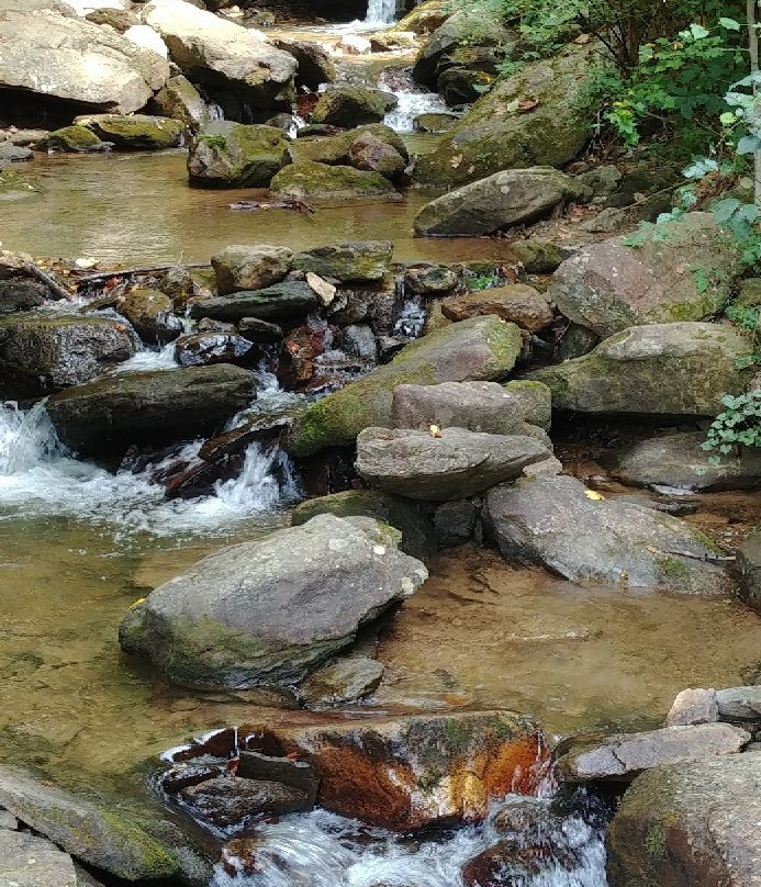 Base of the Falls Trail-道森维尔必去景点