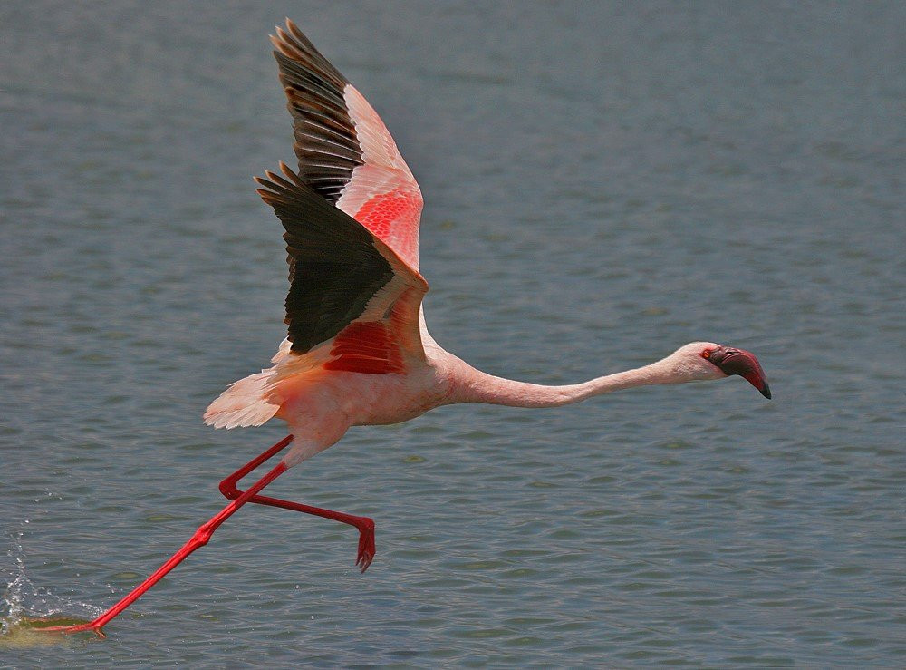 Momella Lakes-阿鲁沙必去景点