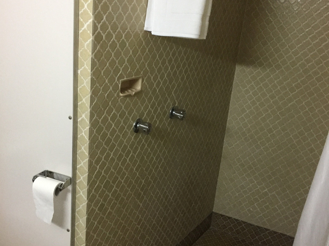 Dongara Hotel Motel主图