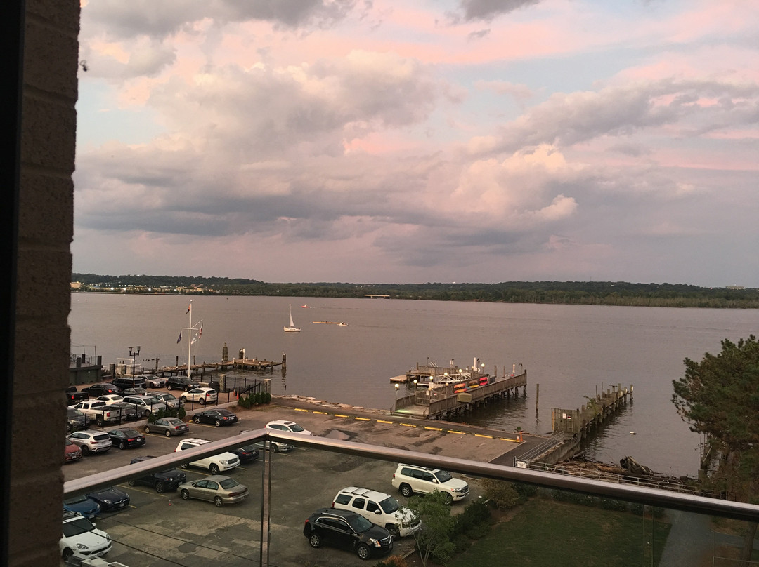 Hotel Indigo Old Town Alexandria by IHG主图