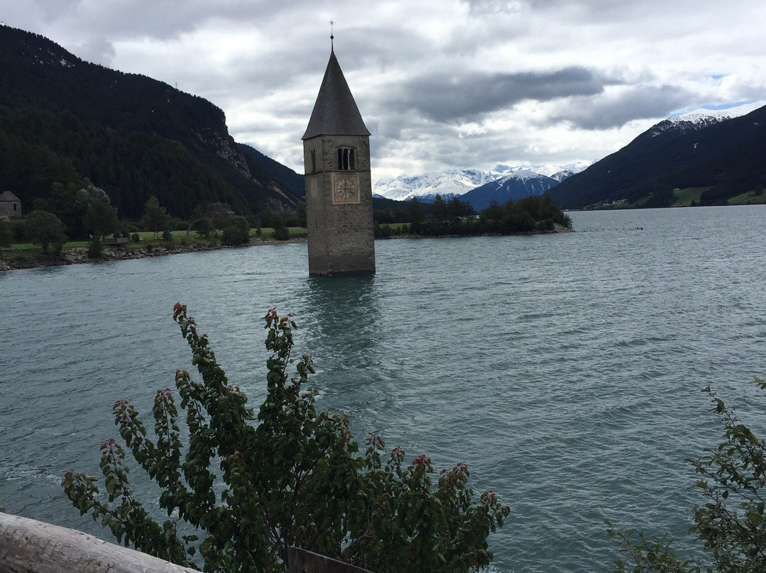 Pista Ciclabile della Val Venosta景点图片