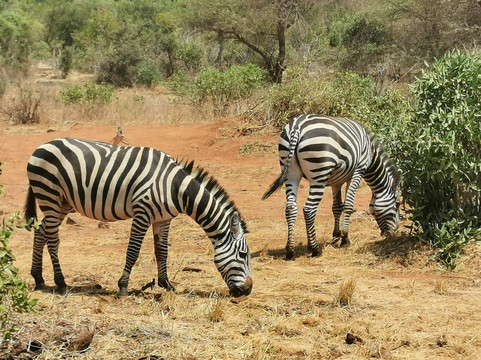 Adventure Mara Tours-蒙巴萨必去景点