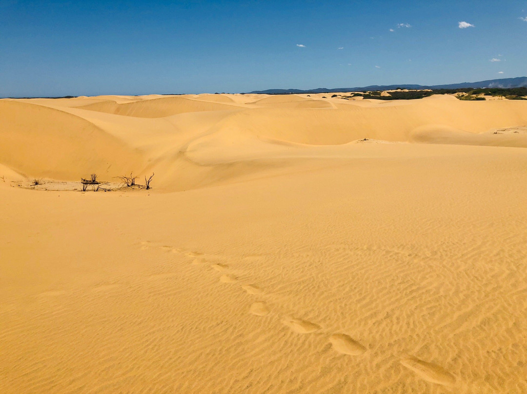 Los Medanos de Coro景点图片