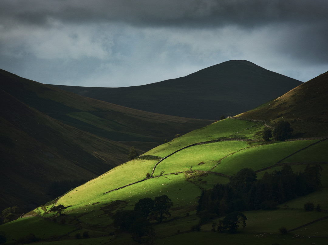 Rod Ireland Photography景点图片