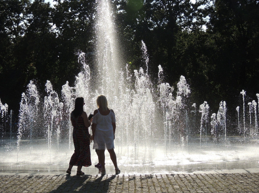 Cosmopolis Fountain景点图片