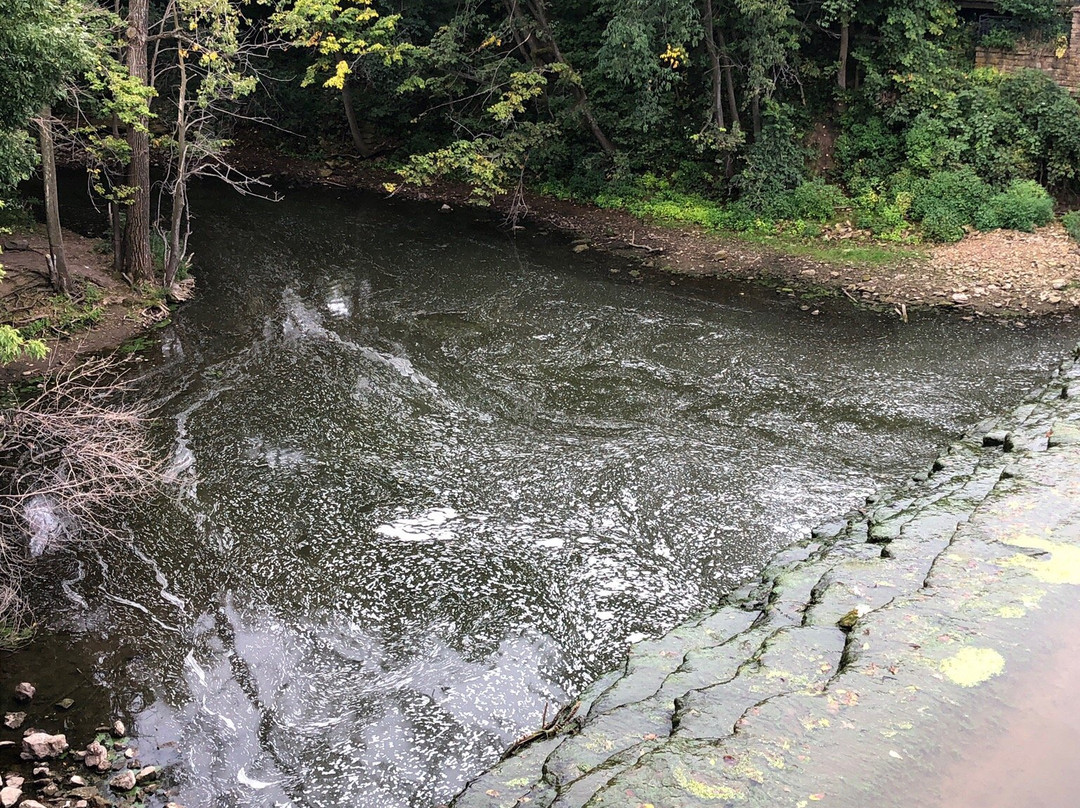 Beeds Lake State Park景点图片