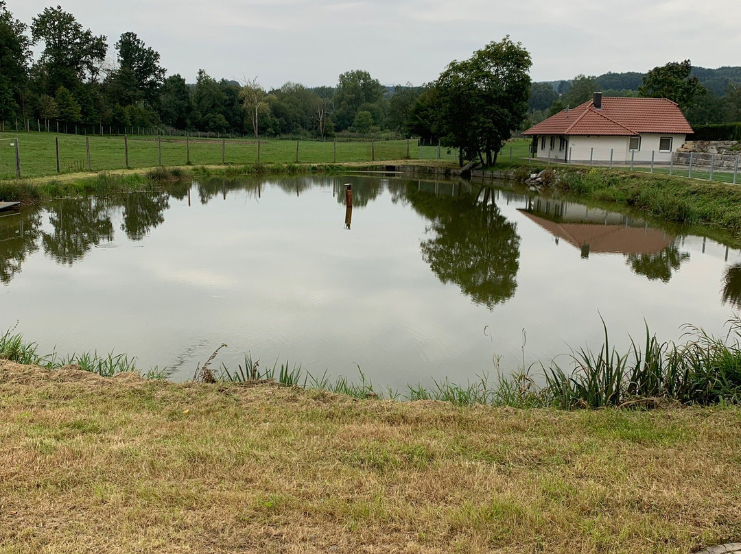 Hotel Hofgut Tiergarten主图