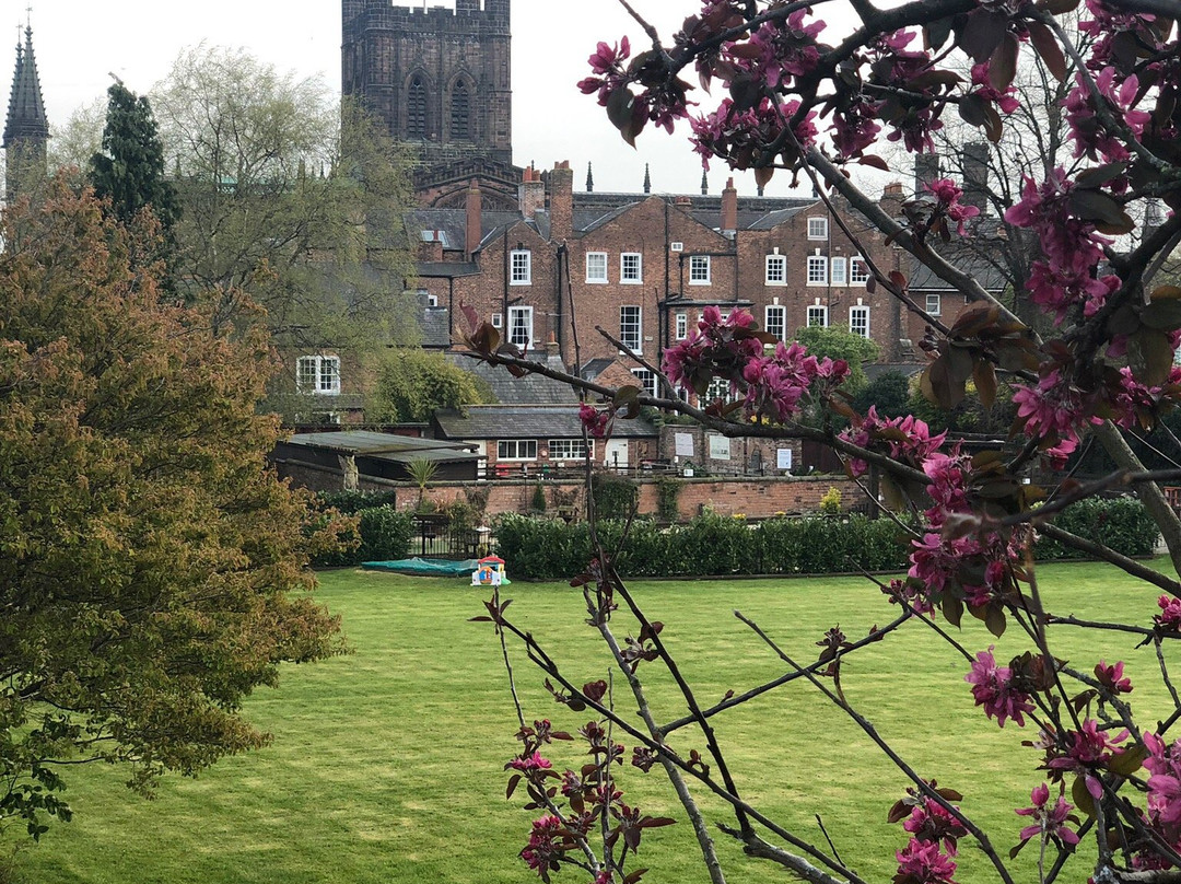 Chester Cathedral Falconry and Nature Gardens景点图片