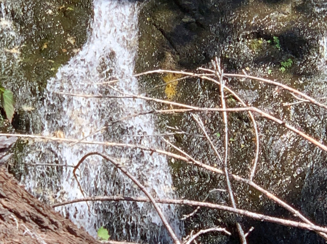 Wenatchee National Forest景点图片