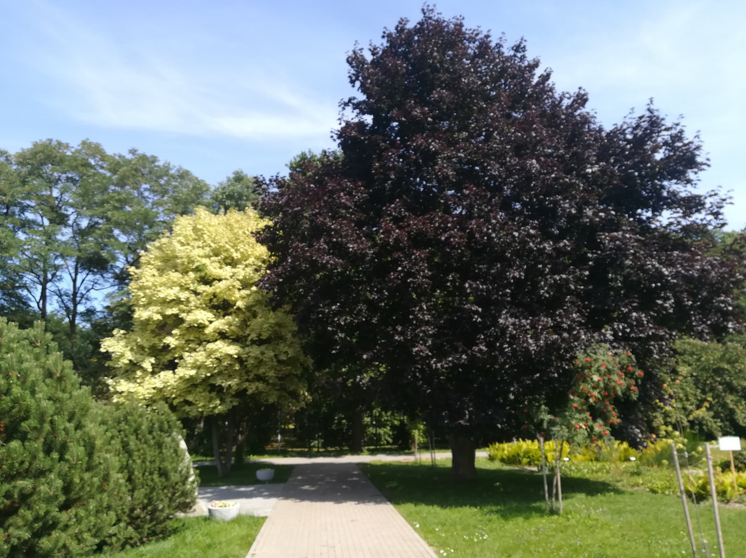 Chelyuskinites Park-明斯克必去景点