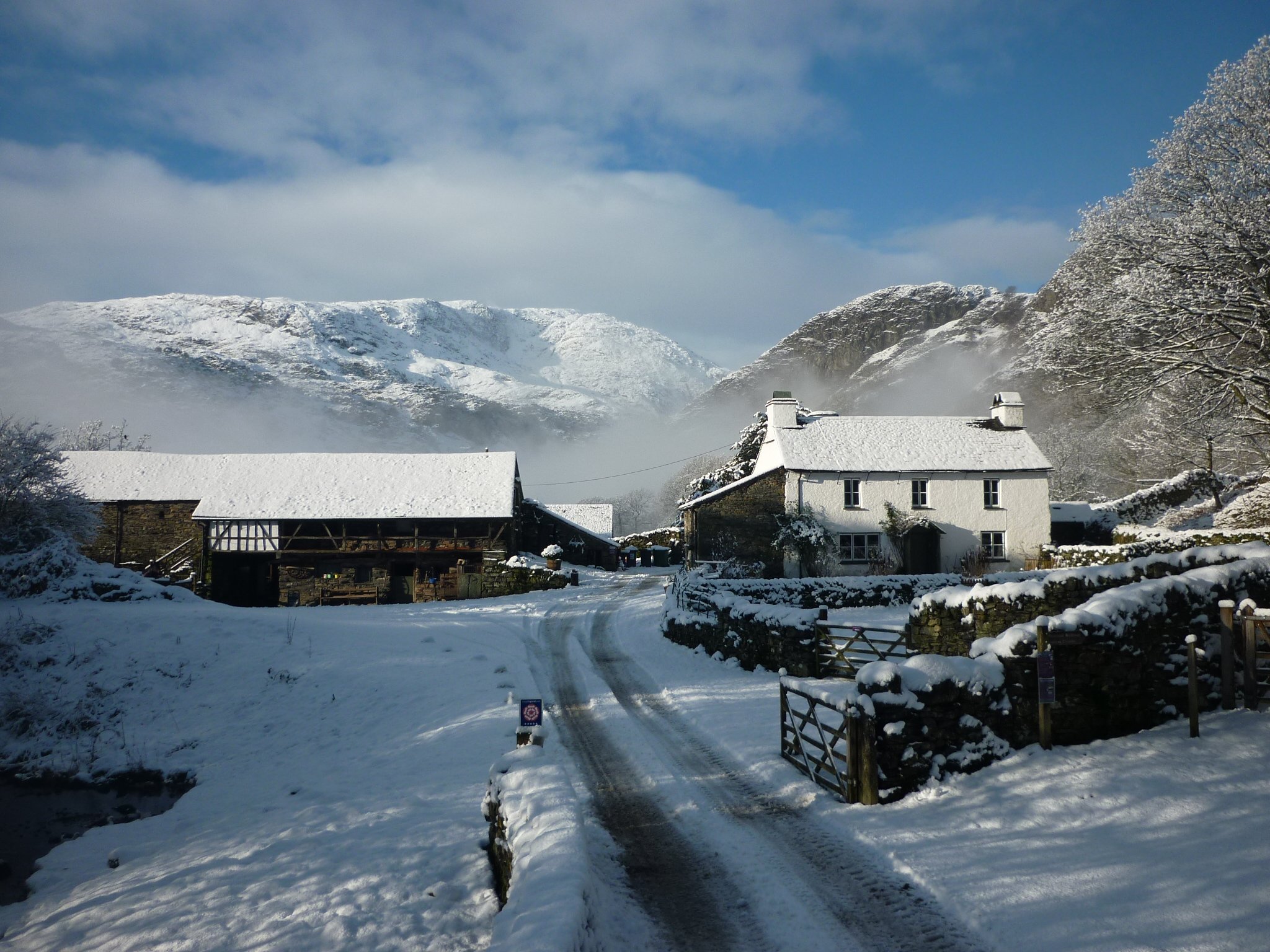 Yew Tree Farm-官方