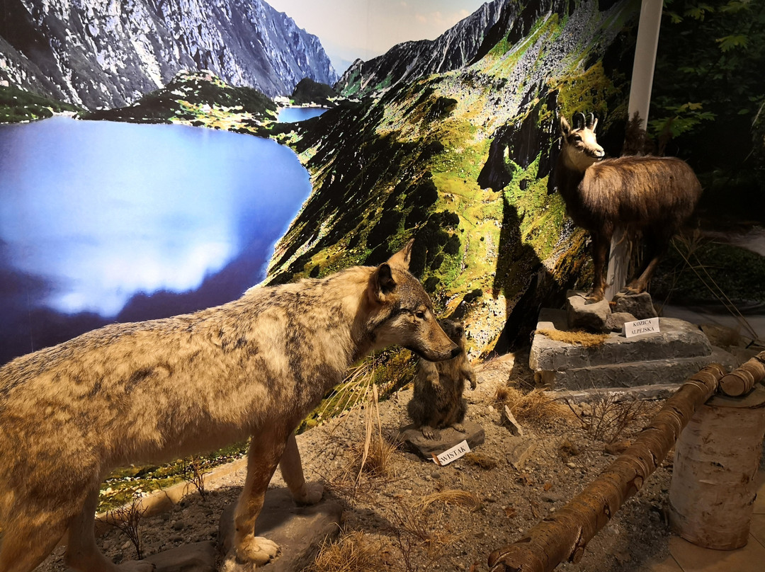European Bison Reservation景点图片