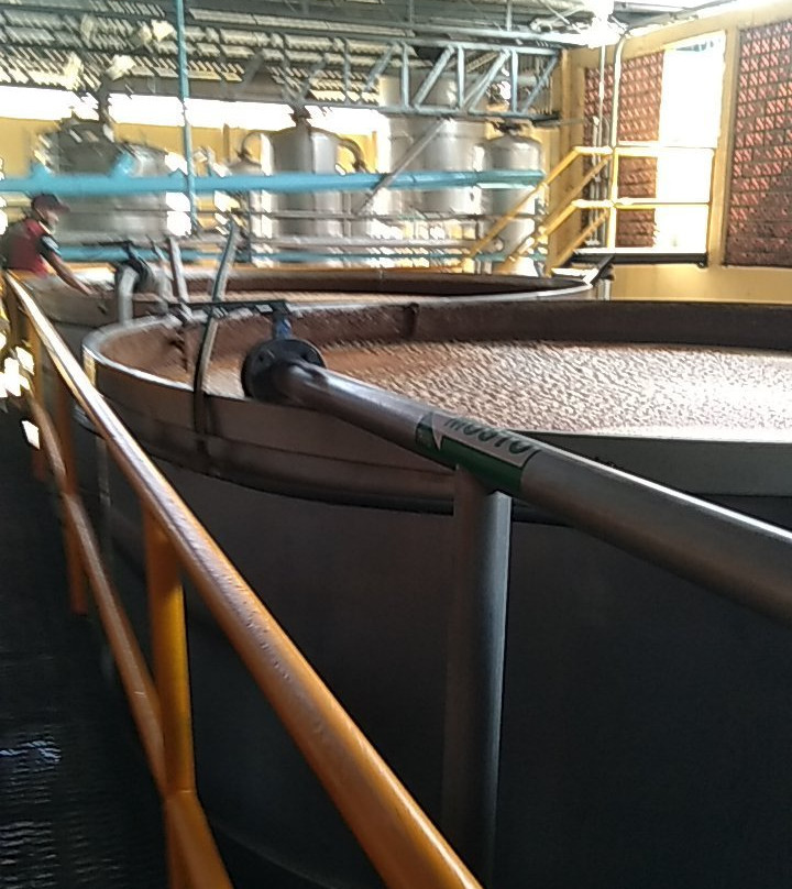 Hotel La Rienda Mision Tequillan主图