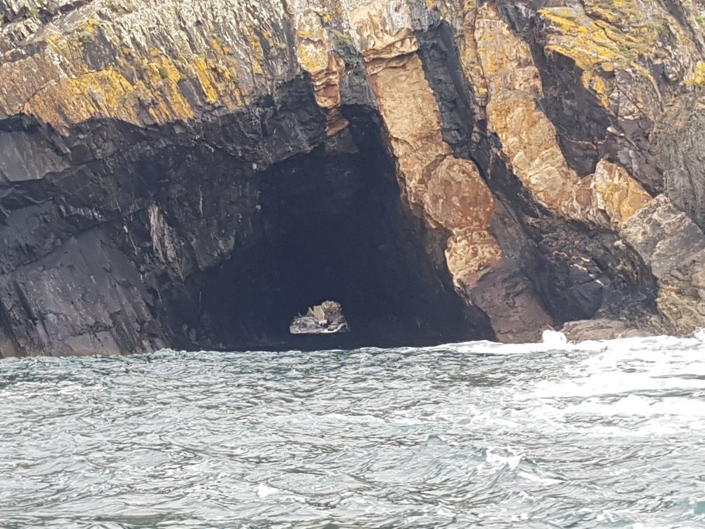 Bluscus Turismo Marinero-比戈必去景点