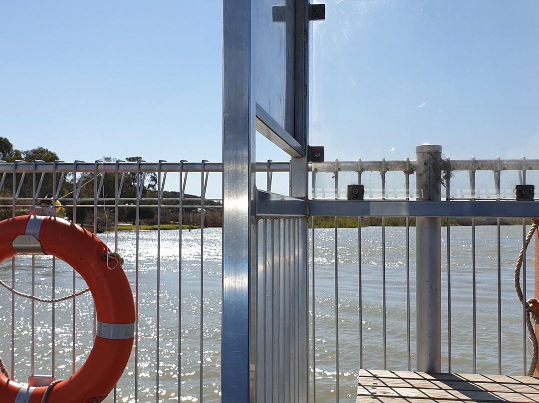 Mannum Ferry景点图片