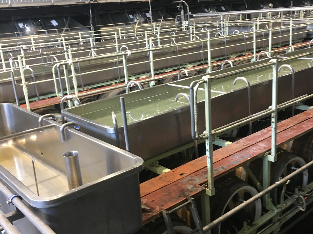 Marston's Brewery Tour景点图片