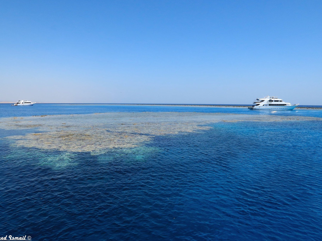 Seaworld Diving Center景点图片