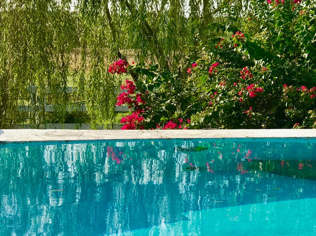 Knolle Farm and Ranch Bed, Barn and Breakfast主图