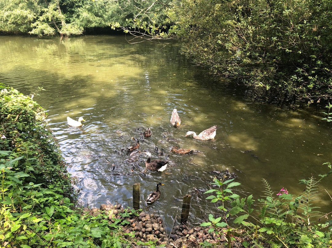 Stoneywish Nature Reserve景点图片