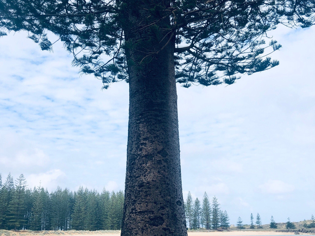 Lone Pine景点图片
