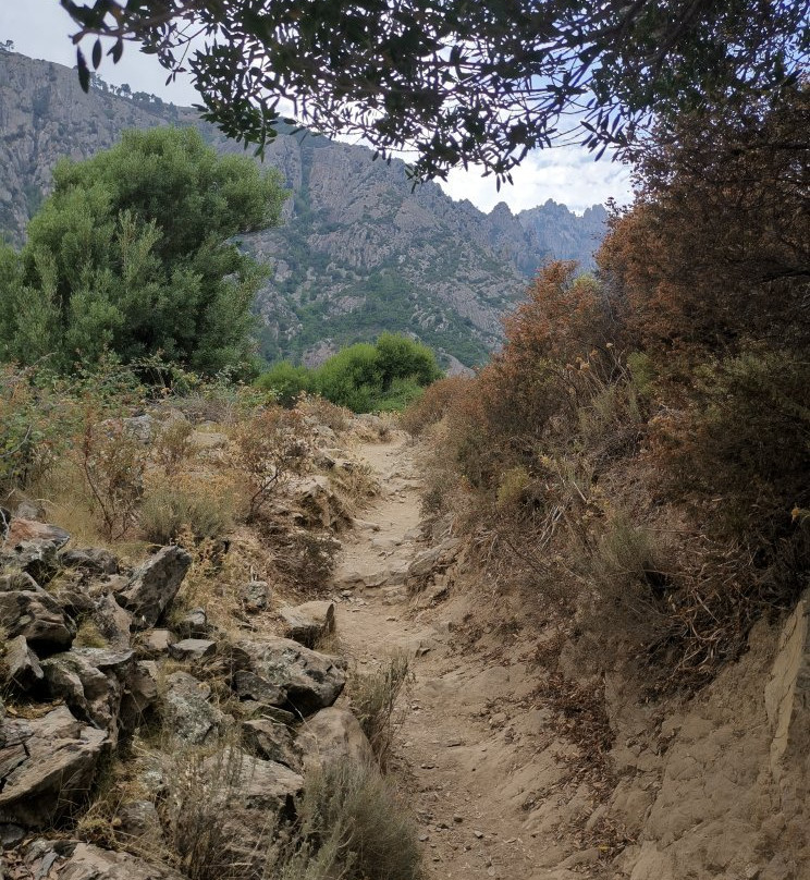 Vallée Du Tavignano-Corte必去景点