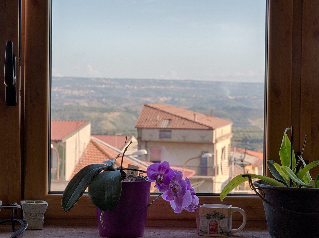 Sopra Le Laure B&B主图