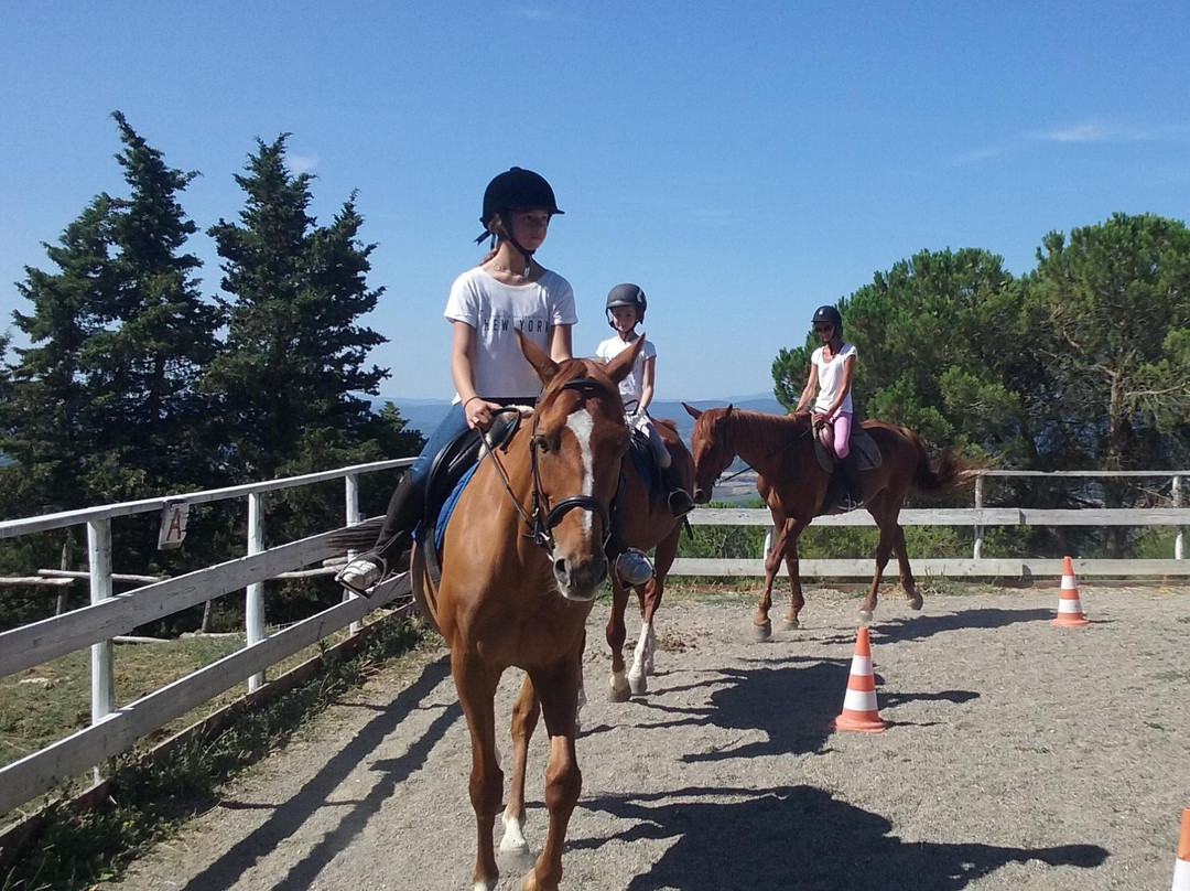 Centro Turismo Equestre Borgo Cignano景点图片