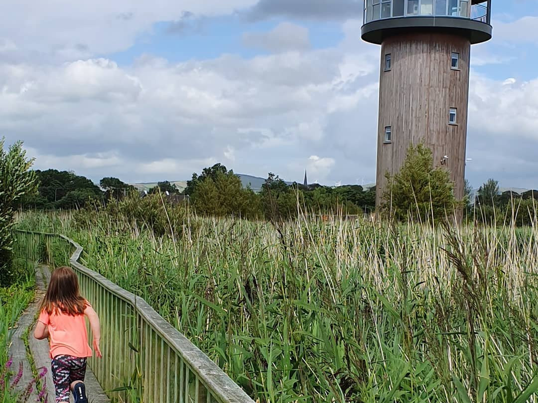 Tralee Bay Wetlands Eco and Activity Park景点图片