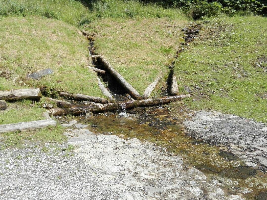 Riserva Naturale Boschi del Giovetto di Palline景点图片